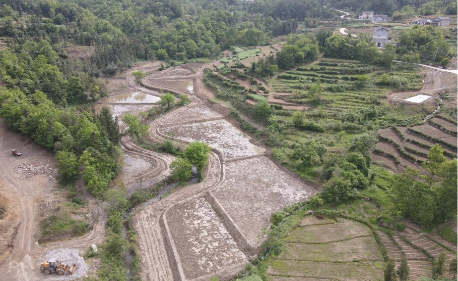 圖片3.png 圖片3.png