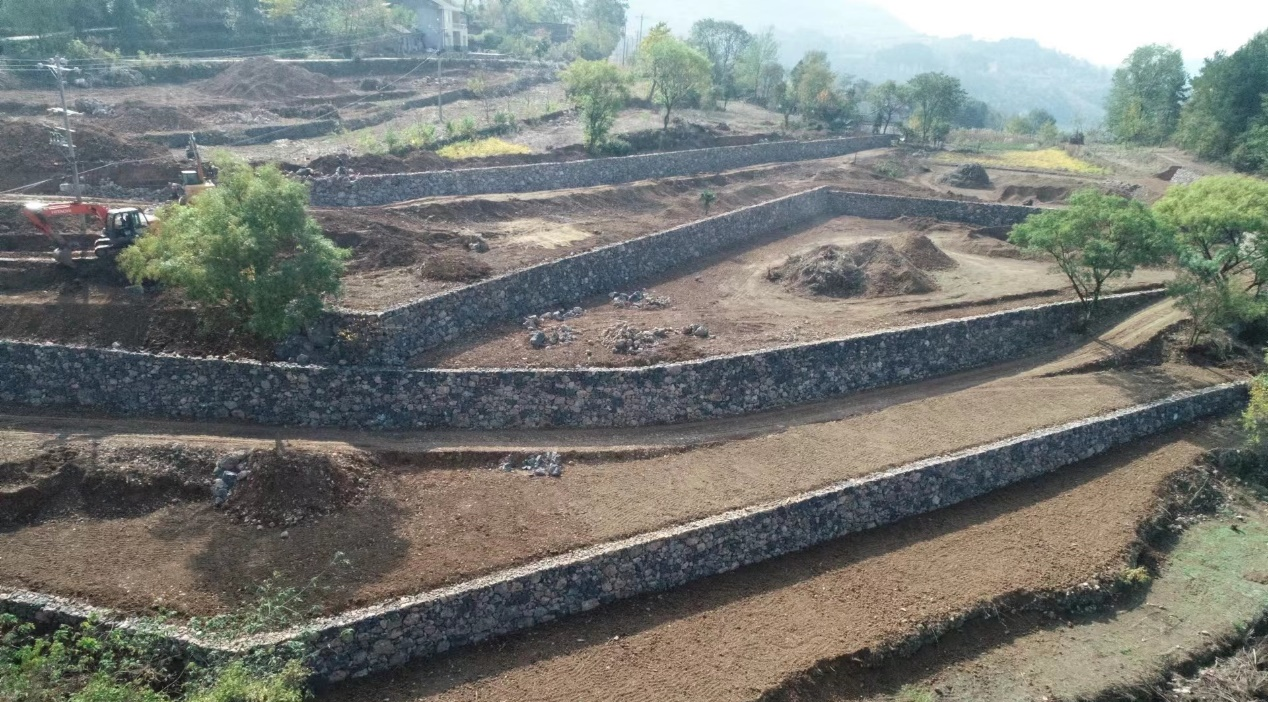 圖片4.png 圖片4.png