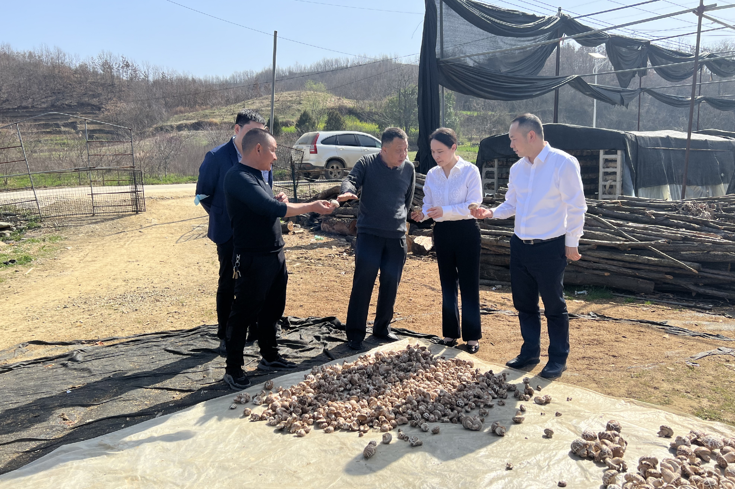 照片2.png 照片2.png