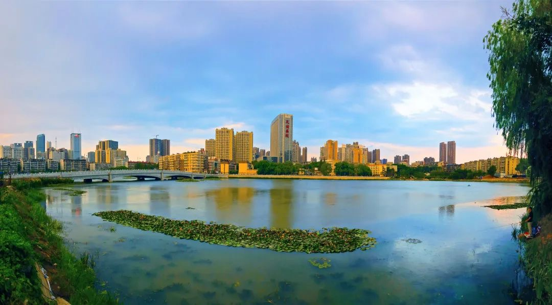 圖片2.png 圖片2.png