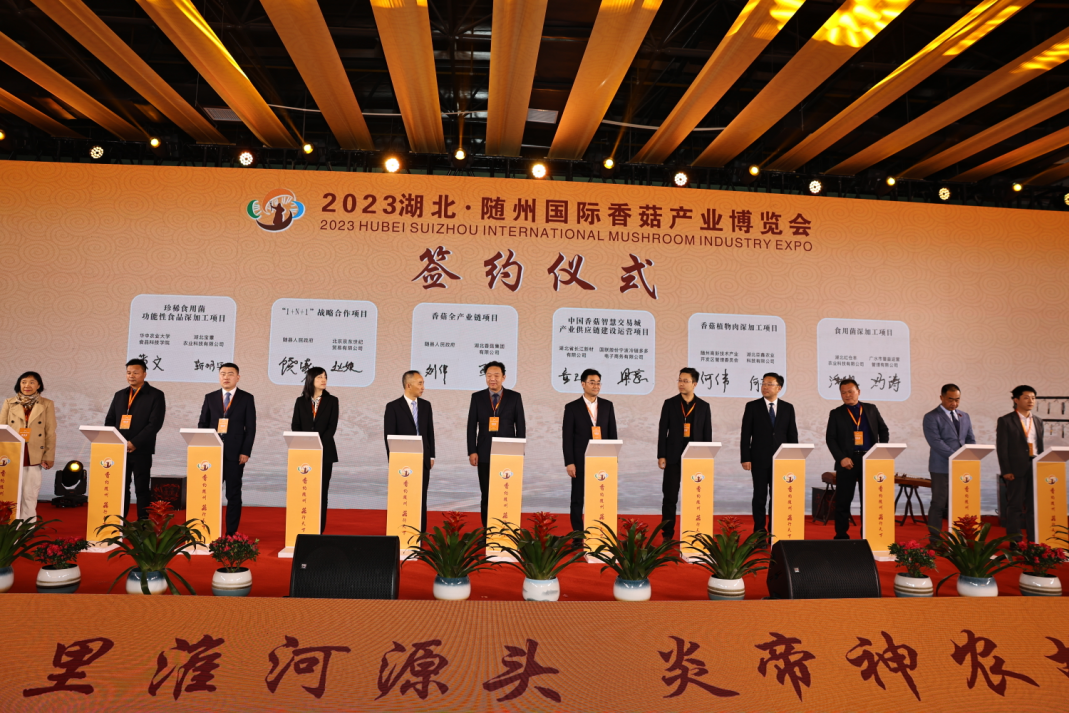 圖片1.png 圖片1.png