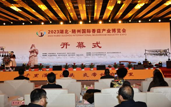 圖片41.png 圖片41.png